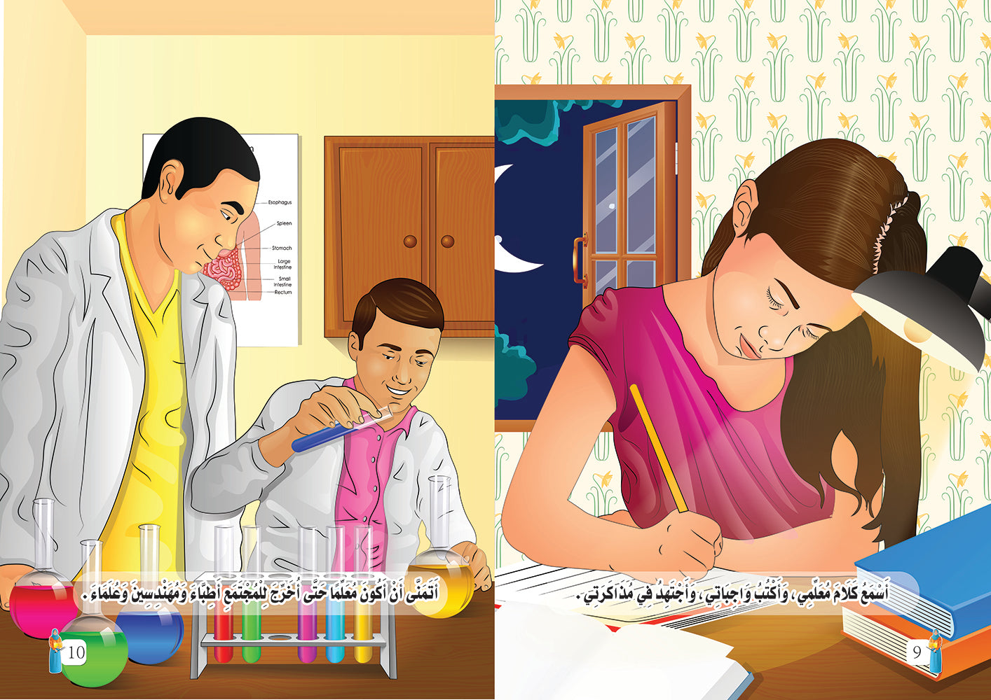 صفحات المعلم